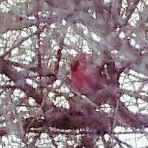 Meet your Posher, Judy